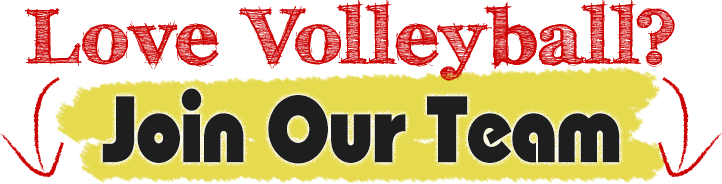 Do you love volleyball? Join our team!